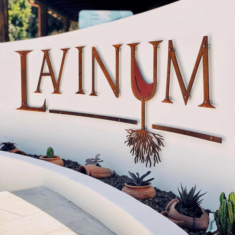 モンテ・ディ・プローチダ Lavinumヴィラ エクステリア 写真